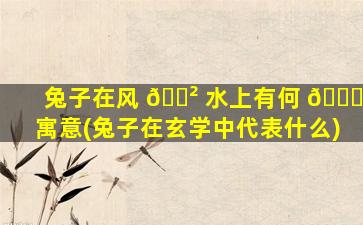 兔子在风 🌲 水上有何 🐒 寓意(兔子在玄学中代表什么)